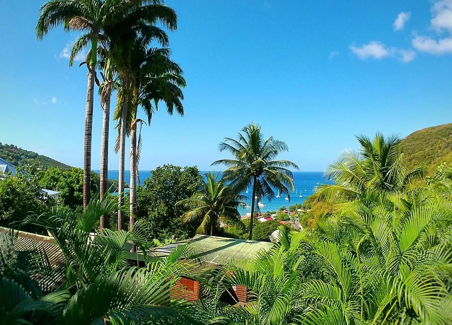 Daire Studio Malacca, Malanga Et Majacudja - O Coeur De Deshaies Guadeloupe